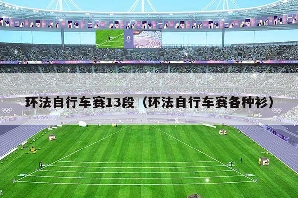 环法自行车赛13段(环法自行车赛各种衫)