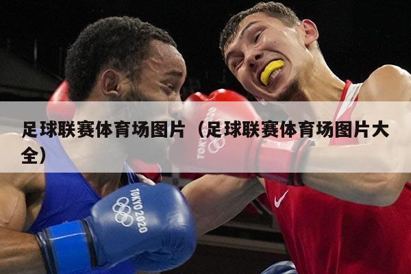 足球联赛体育场图片（足球联赛体育场图片大全）