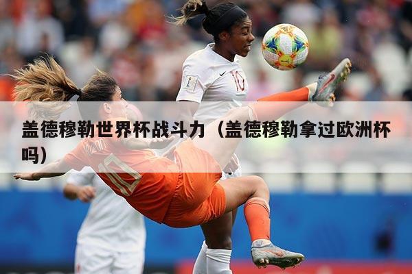 盖德穆勒世界杯战斗力(盖德穆勒拿过欧洲杯吗)