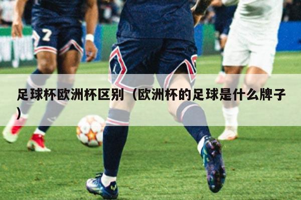 足球杯欧洲杯区别（欧洲杯的足球是什么牌子）
