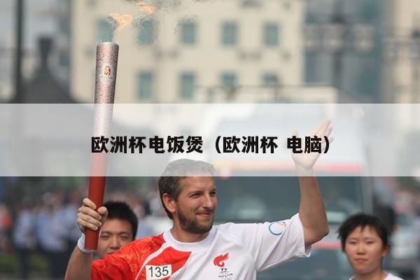 欧洲杯电饭煲（欧洲杯 电脑）