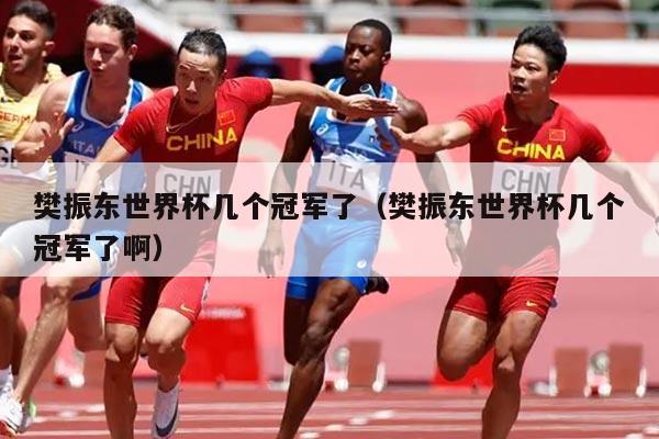 樊振东世界杯几个冠军了（樊振东世界杯几个冠军了啊）