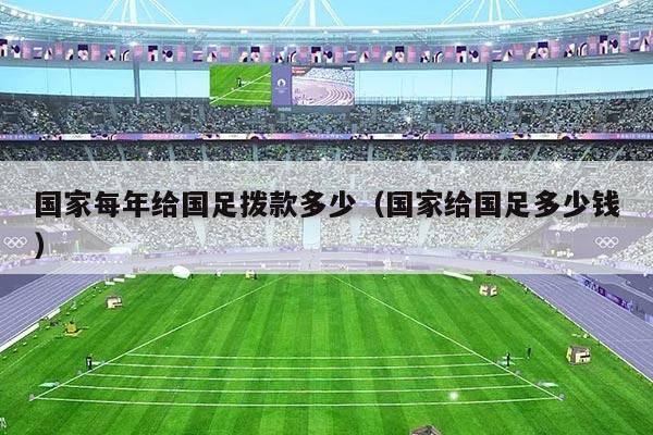 国家每年给国足拨款多少（国家给国足多少钱）