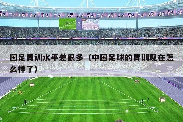 国足青训水平差很多（中国足球的青训现在怎么样了）
